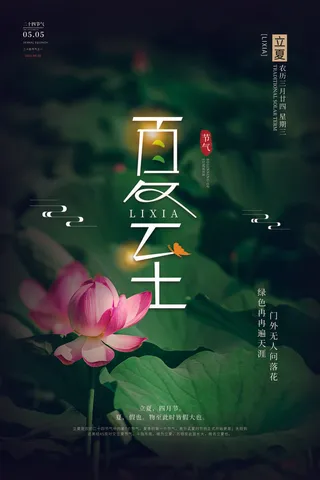 简约时尚小清新夏至节日海报