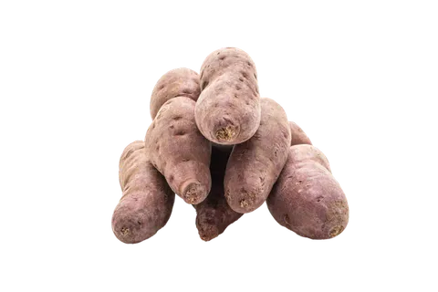 地瓜 (24)超市商品白底图免抠实物摄影png格式图片透明底