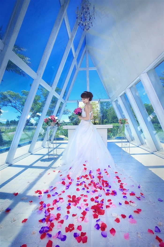 白色婚纱美女新娘玫瑰花瓣图