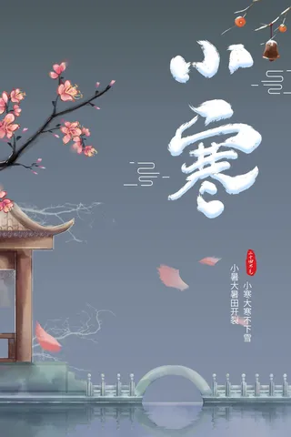 中国传统冬天小寒祝福24二十四节气节日宣传活动海报
