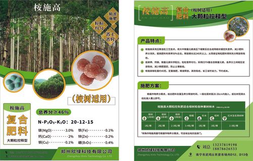 桉树宣传单源文件设计开业彩页