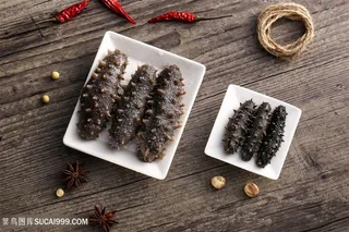 海参高清摄影图海鲜图片