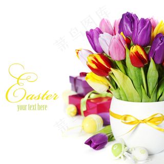 插花郁金香图片