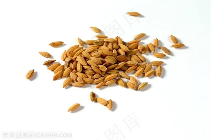 农作物-放着的一小堆谷子特写