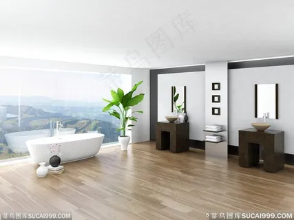 洗簌间 卫生间  地板 洗簌间 卫生间  地板