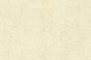 中国风底纹背景再生纸纹理素材黄色