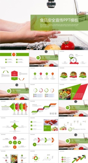 食品安全健康PPT模板ppt模版预览图