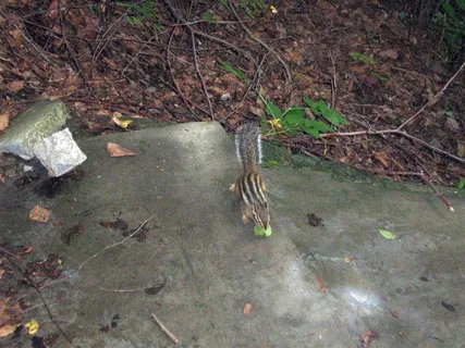 这是我的你们不许抢