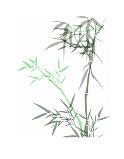 竹子水墨画中国风国画墨水书法竹子画