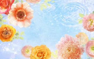 图片设计素材背景鸟语花香