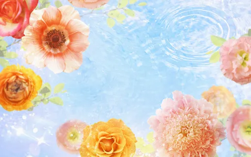 图片设计素材背景鸟语花香 图片设计素材背景鸟语花香