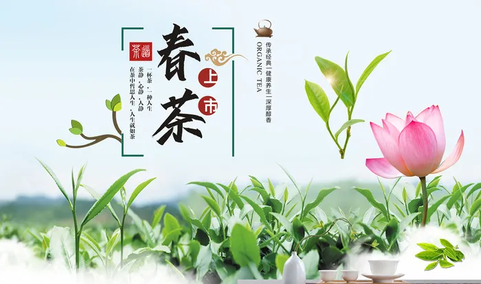创意春季茶叶促销春茶上市海报psd模版下载