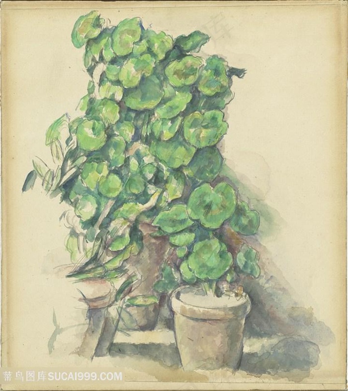 绿叶植物装饰画