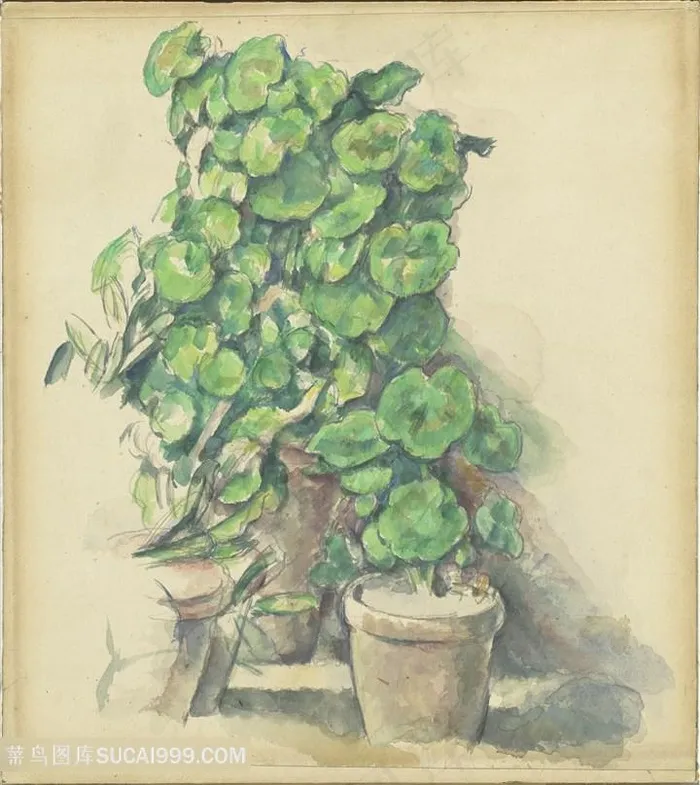 绿叶植物装饰画