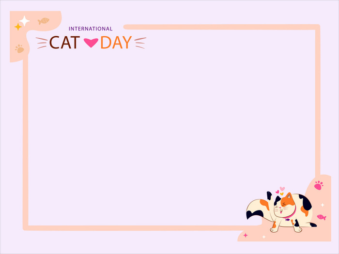 猫的一天背景