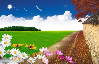 草地道路美景韩式自然背景 (