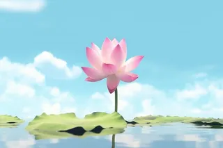 清新阳光荷花荷叶天空白云背景