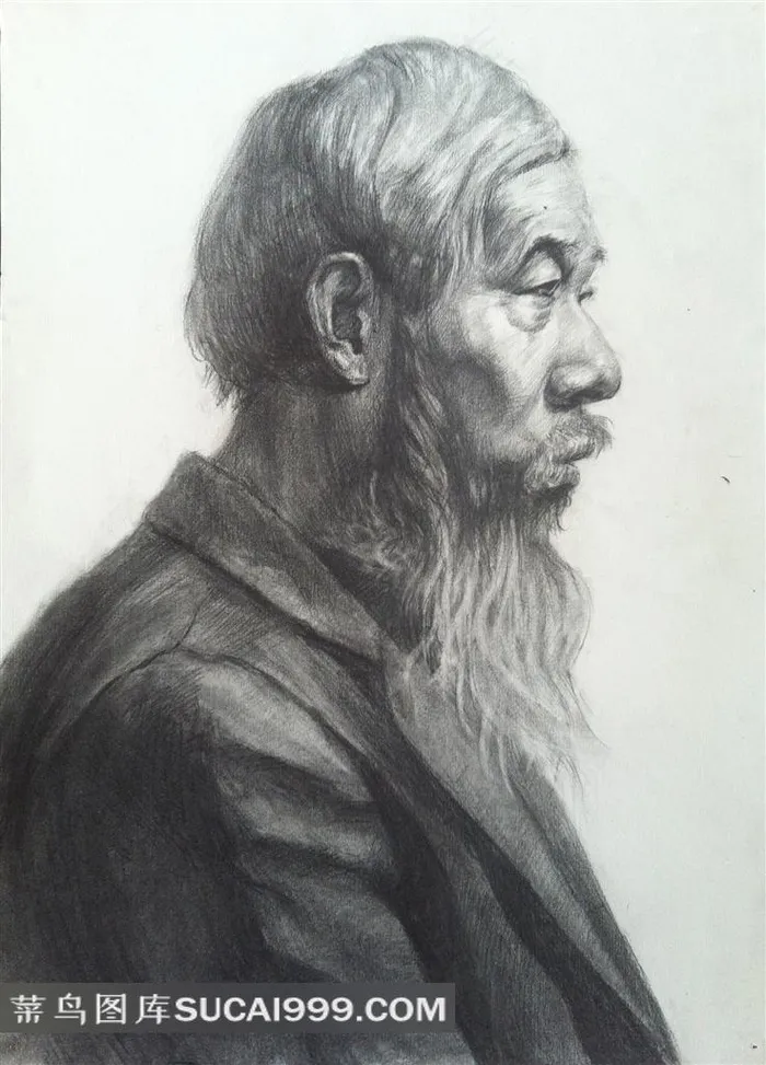 胡子老人素描素材