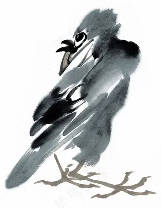 国画鸟艺术绘画摄影图片