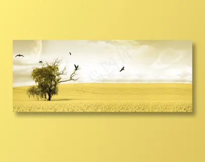 黄色油菜花地图片