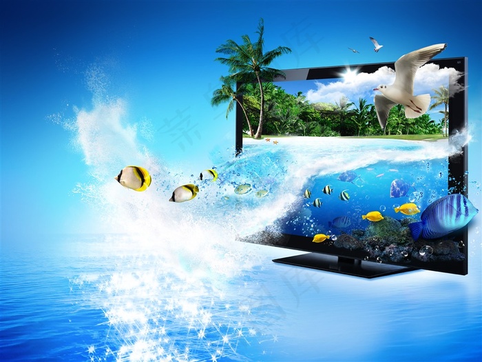 从电视里飞出来的鱼和鸟