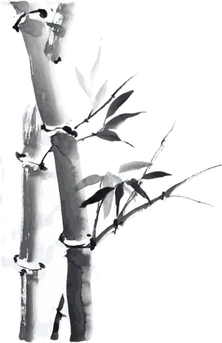 竹子水墨画中国风国画墨水书法竹子画