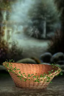 梦幻婴儿萌宝绿黑色玄关