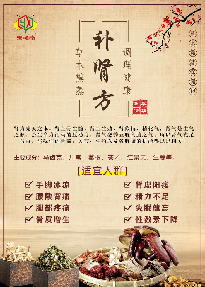 补肾方玉崤堂传统调理方子psd模版下载