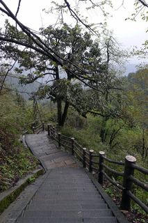 登山路上的景观