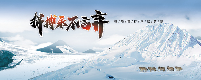 狼群过雪山冬天狼性团队励志展板文化psd模版下载