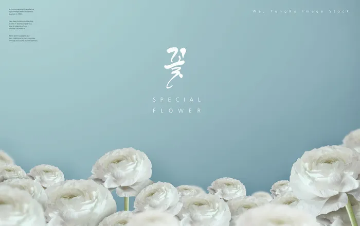 韩式花卉节日背景psd模版下载