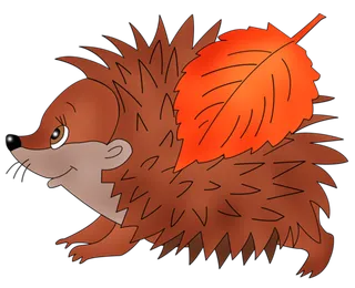 刺猬棕色卡通