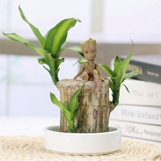 绿色简约桌面饰品装饰宠物格鲁特摄影