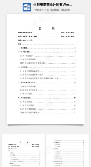 生鲜电商商业计划书Word文档