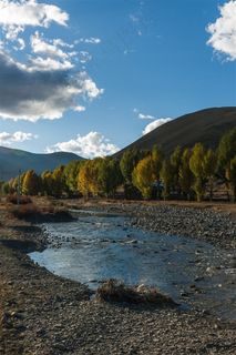 稻城亚丁傍河乡景区河滩风景
