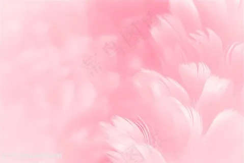 唯美清新羽毛背景高清图