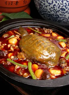 红烧甲鱼 88 红烧甲鱼 88