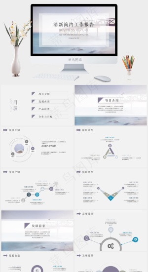 淡雅简约工作报告PPT模板