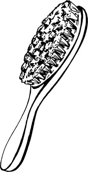 发刷 PNG免抠(293x570)