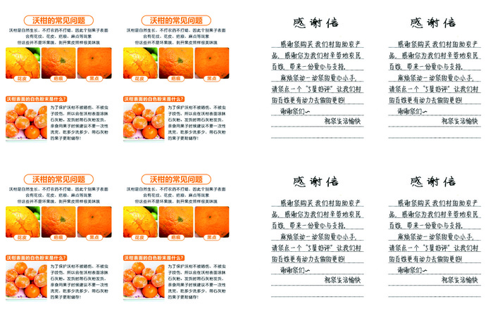 沃柑宣传单源文件设计开业彩页cdr矢量模版下载