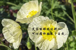 那些说到心坎的文字