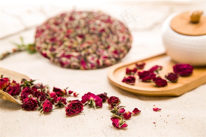 金边玫瑰花蕾摄影