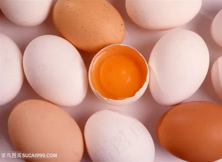 鹤立鸡群的破碎鸡蛋高清图片 鹤立鸡群的破碎鸡蛋高清图片