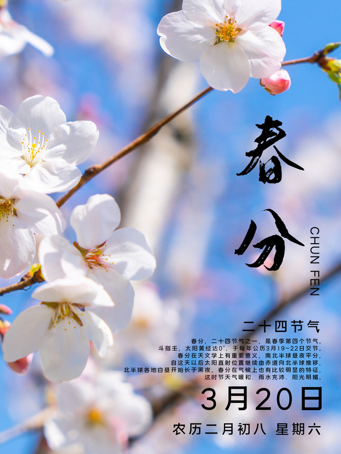 春分二十四节气传统中国风插画高清活动海报展板PSD模板素材