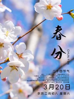 春分二十四节气传统中国风插画高清活动海报展板PSD模板素材