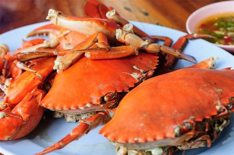 大闸蟹海鲜螃蟹食物