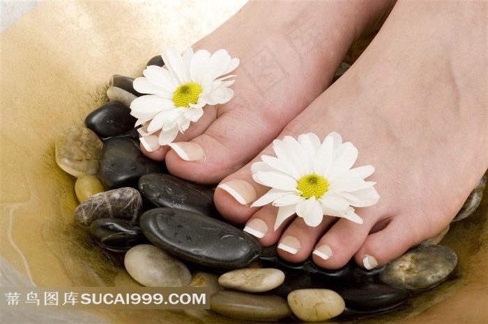 脚上的菊花摄影大图