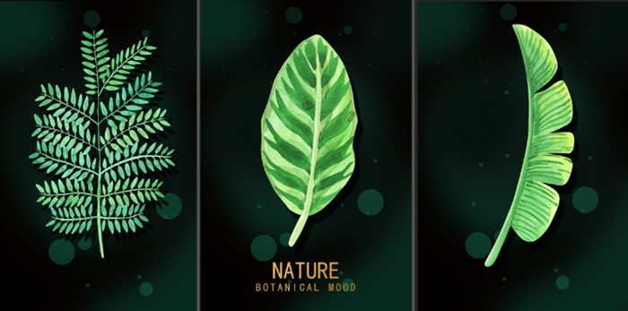 现代三联叶子绿色装饰画