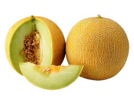 哈密瓜免抠素材 (5)