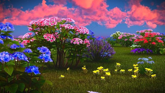 草地上生长的鲜艳花卉植物